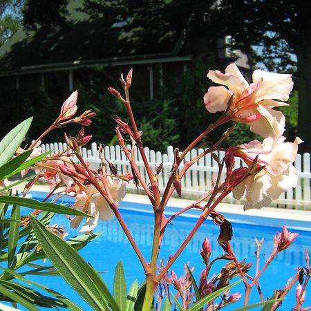 Guest House Westwood Kraljevec Kupinecki Room photo